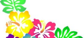 272x125 Hibiscus Clip Art