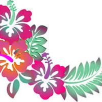 200x200 Hawaiian Flower Border