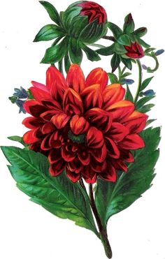 236x371 Clip art of flower bouquets Images Free Flower Clip Art