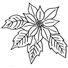 236x236 Poinsettia Clipart Black And White