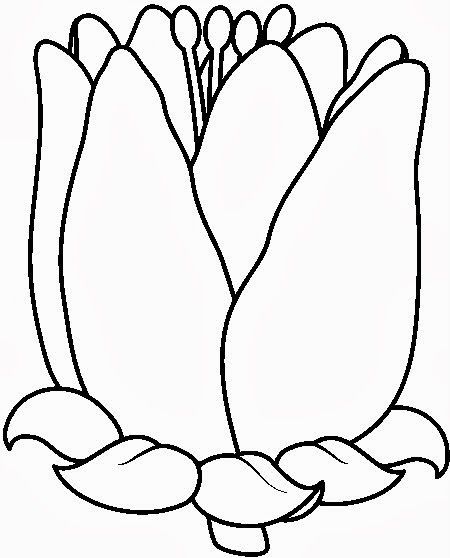 450x558 118 Best Coloring