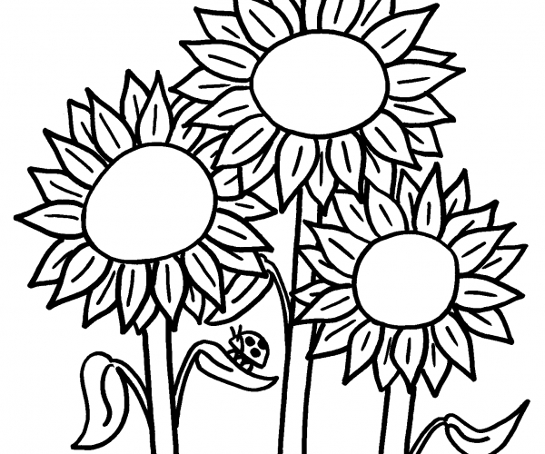 600x500 Wonderful Magic Flowers To Color To Staggering Spring Coloring