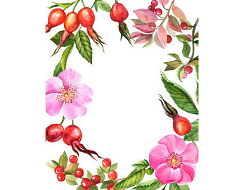 340x270 Watercolour Flower Butterfly Frame Border Clip Art Digital