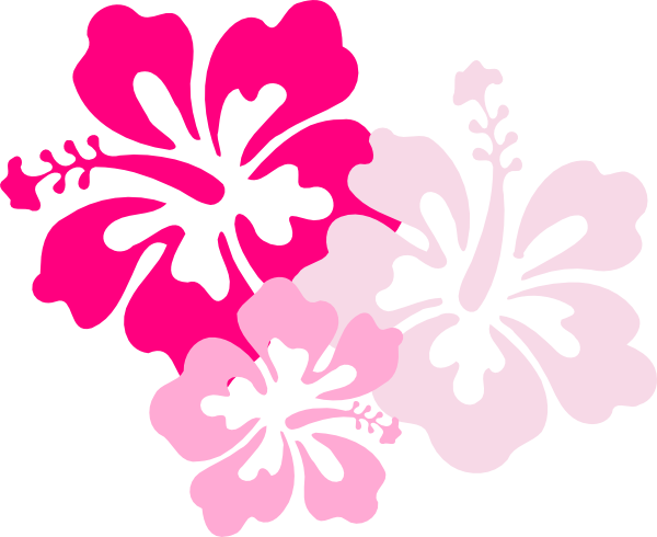 600x490 Hawaiian Flower Pattern Pink Hibiscus Clip Art Pic 1 Clker