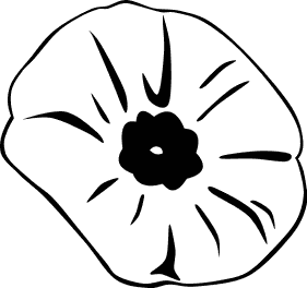 281x264 White Flower Clipart Poppy
