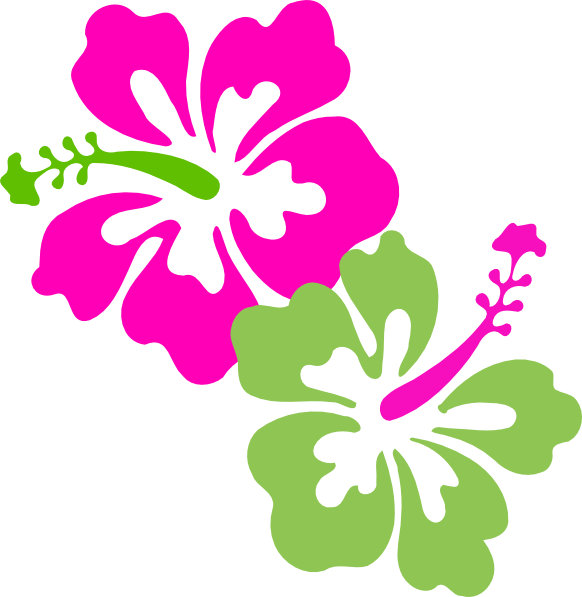 582x597 Hibiscus Pink Lime Green Clip Art