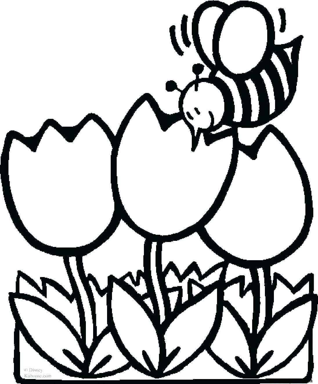 1096x1325 Coloring Pages Various Flowers Outline. Free Clipart Flower