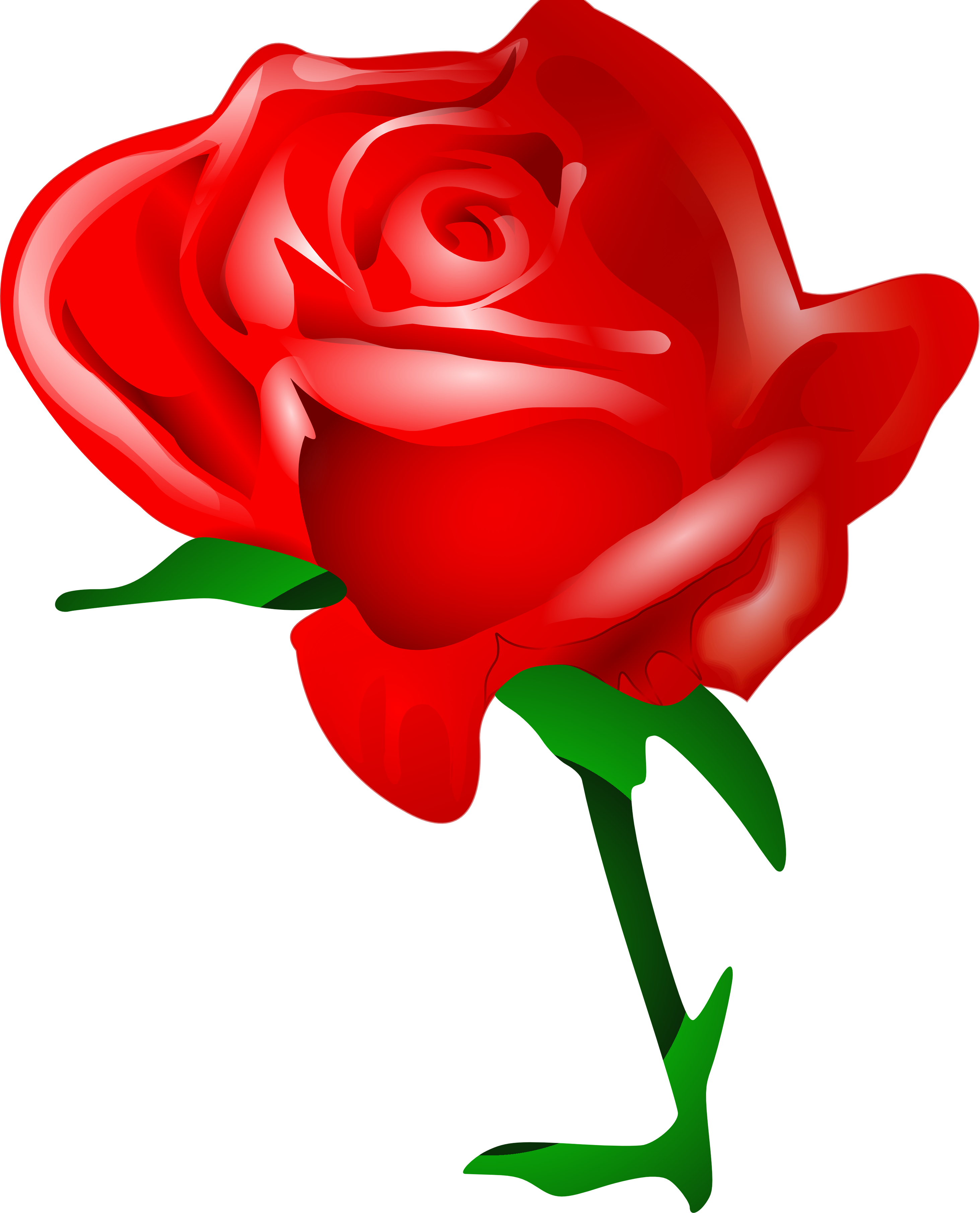 2926x3622 Rose Png Flower Images, Free Download