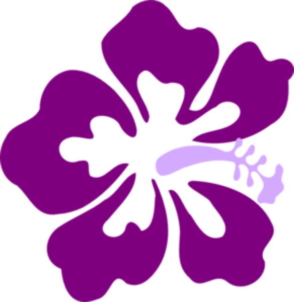584x600 Purple Flower Clipart Tropical