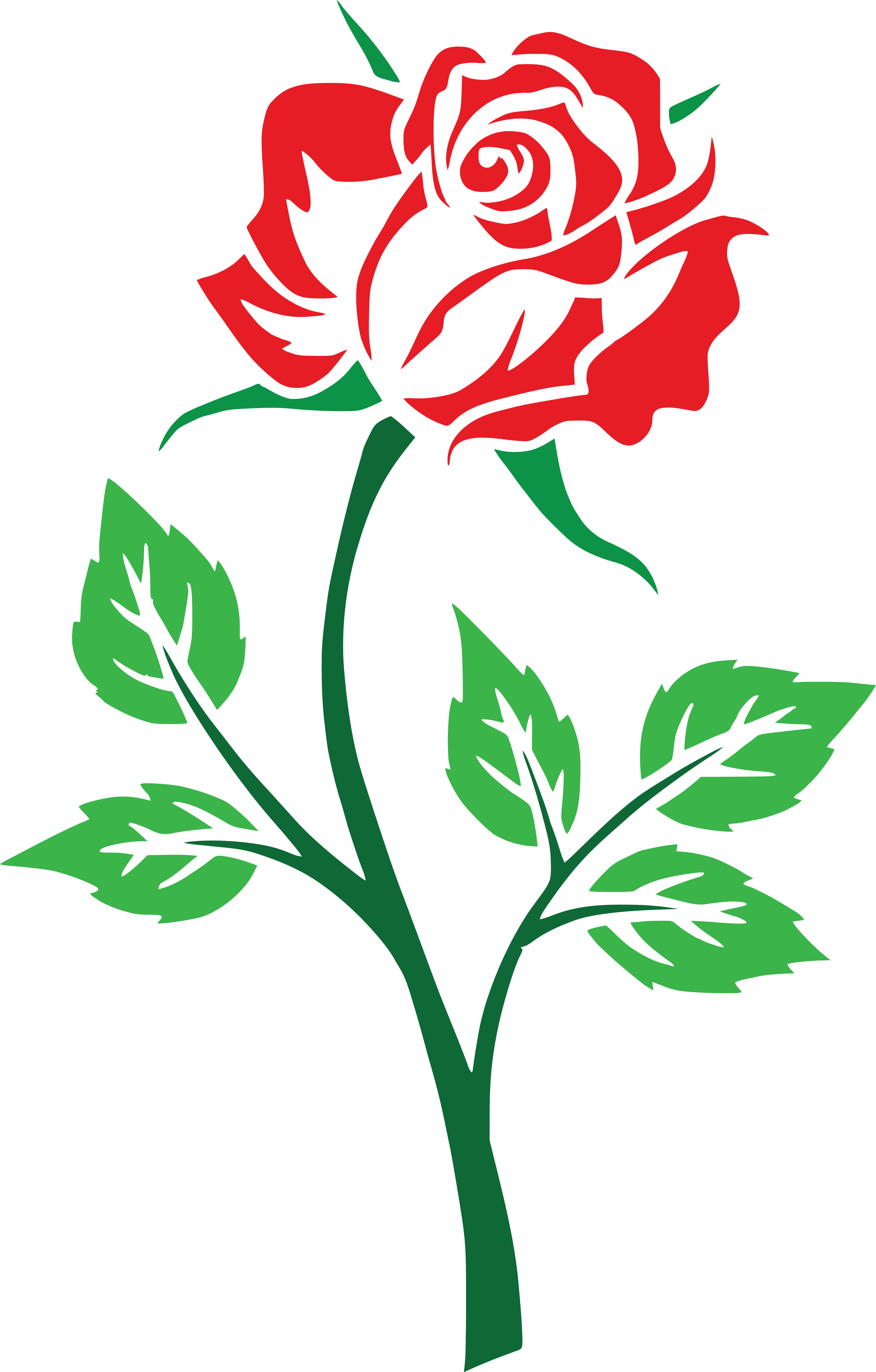 4000x6264 Top 84 Red Rose Clip Art