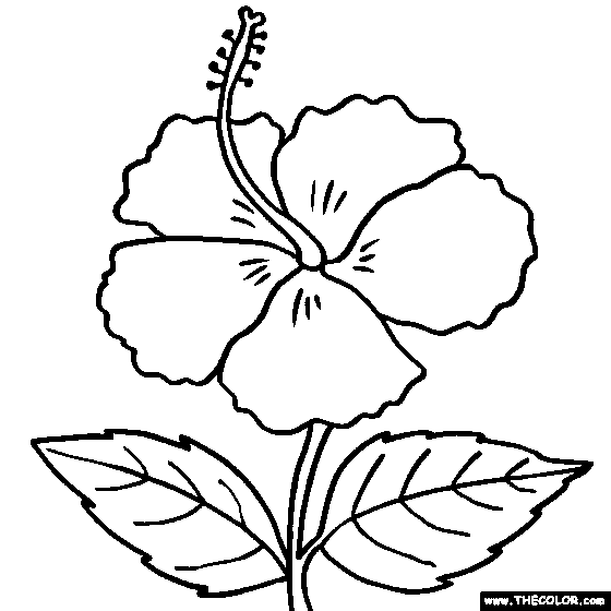 560x560 Flower Coloring Pages Color Flowers Online Page 1