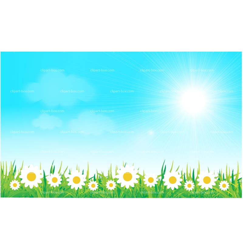 800x800 Background Free Clipart