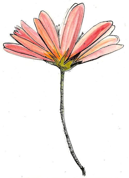 Flower Clipart Tumblr