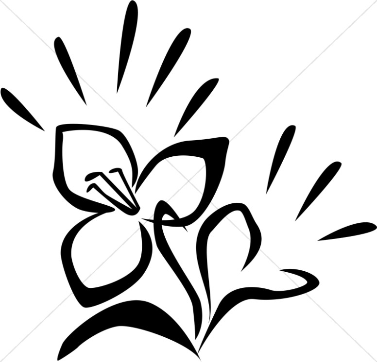 776x746 White Flower Clipart Easter