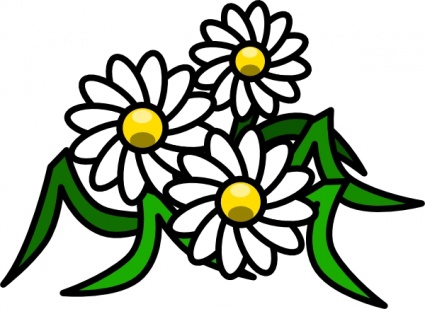 425x309 White Flower Clipart Grass Flower