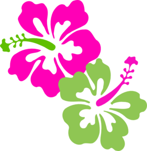 291x299 Hibiscus Pink Lime Green Clip Art