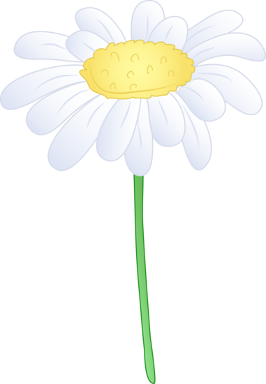 381x550 Background Clipart Daisy