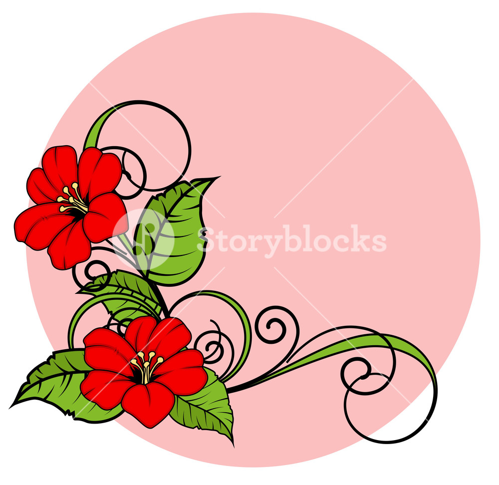 1000x972 Flower Corner Frame Royalty Free Stock Image