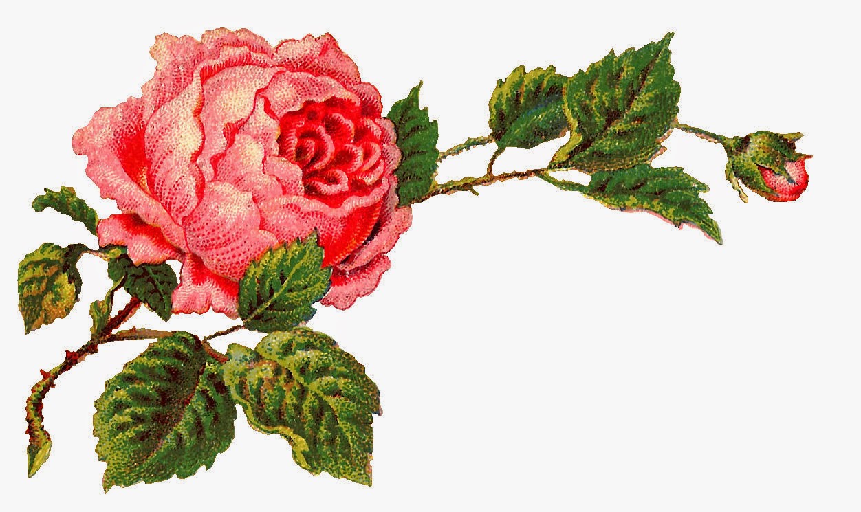 1252x745 Roses Vintage Rose Corners Clipart Clipart Kid