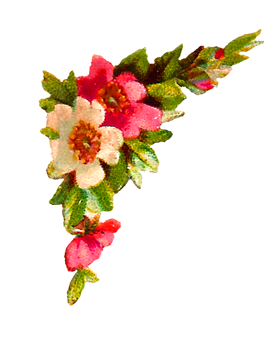 955x1239 Antique Images Digital Flower Corner Design Roses Clip Art