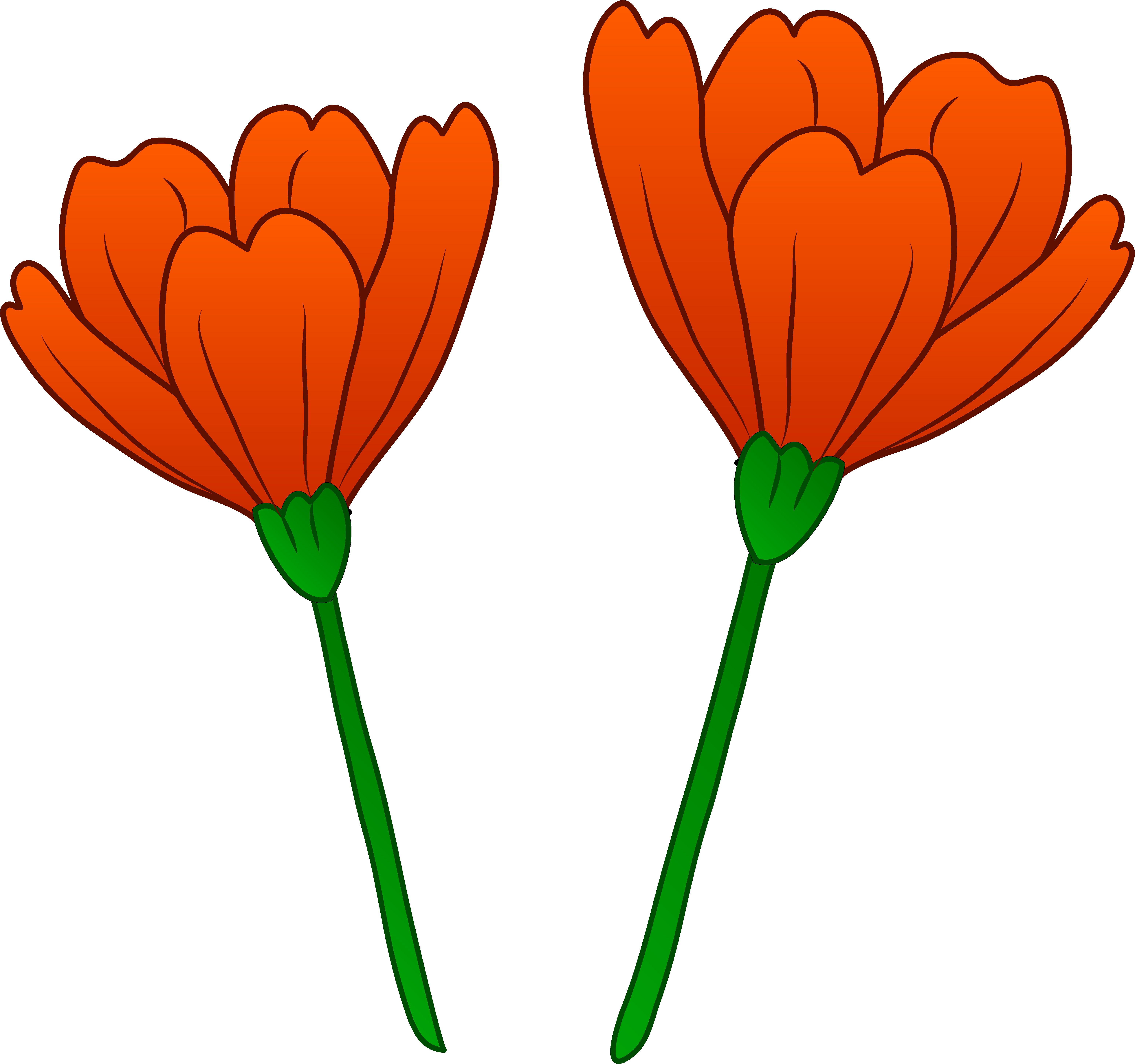 6191x5802 Clipart Poppy