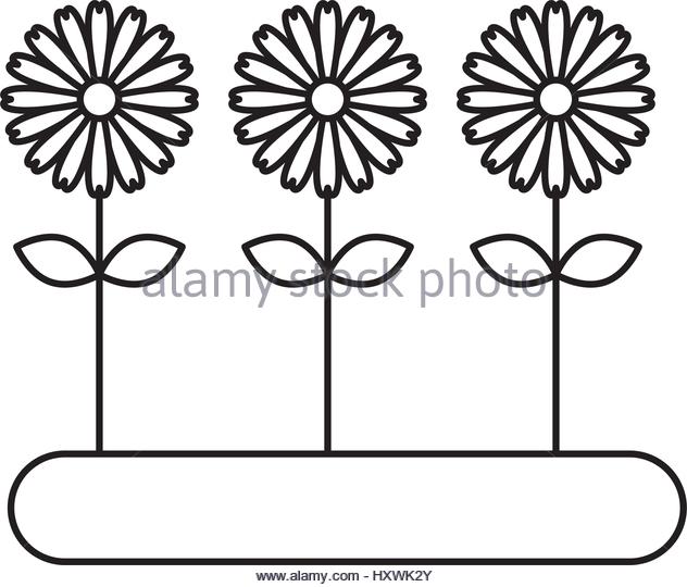 632x540 Cultivated Flower Garden Icon Vector Stock Photos Amp Cultivated