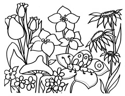 480x370 Flower Garden Clipart Black And White