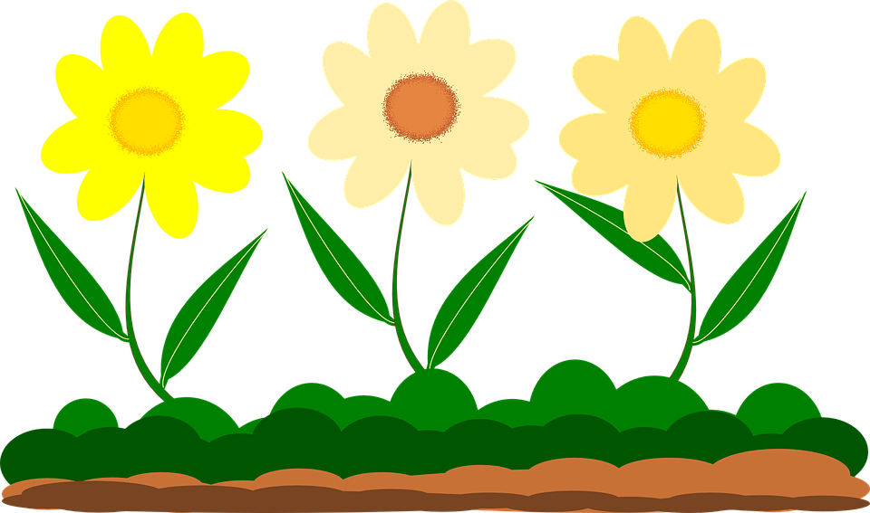 960x567 Yellow Flower Clipart Garden