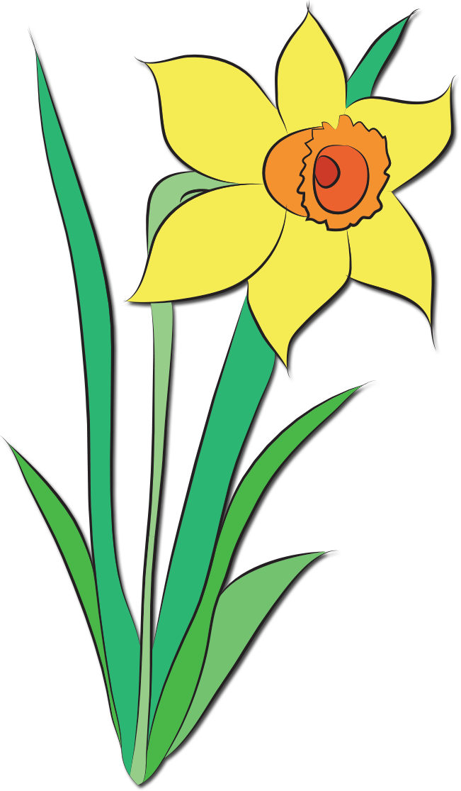 651x1115 Shower Clipart May Flower