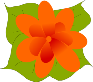 300x264 Orange Flower With Leaves Clip Art