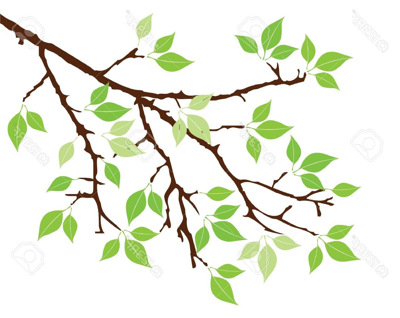 1300x1036 Top Branch With Leaves Clipart Vector Pictures Free Vector Art