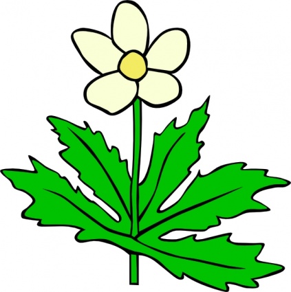 423x425 Clipart Flowers And Leaves