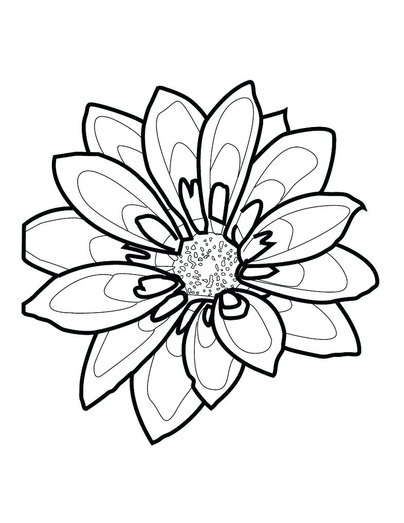 786x1017 Black And White Flower Outline Image Collections