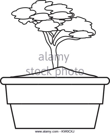 447x540 Pot Plant White Background Black And White Stock Photos Amp Images