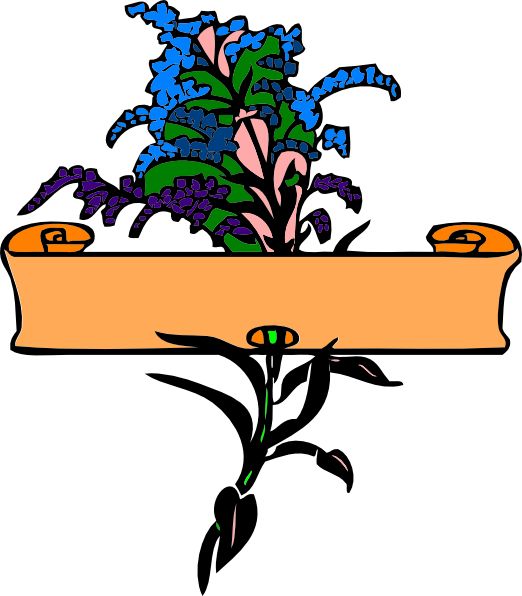 522x596 230 Best Flower Images Drawings And Nursery