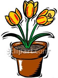 225x300 Yellow Flower In Pot Clipart