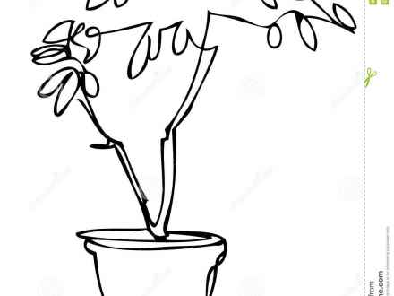 440x330 Outline Drawing Of Big Antique Flowerpot Full Of White Lilies