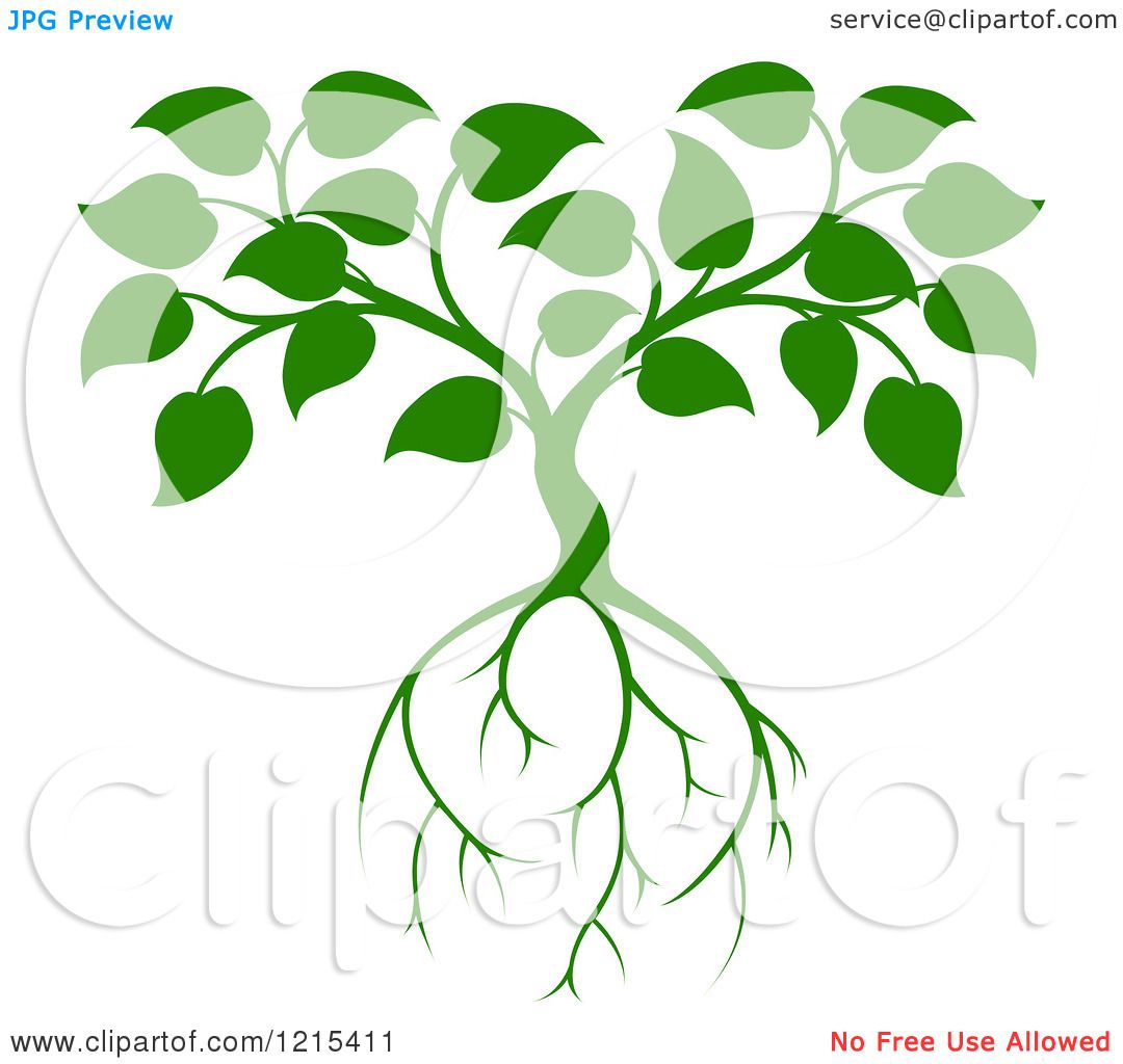 1080x1024 Roots Clipart Leaf Tree
