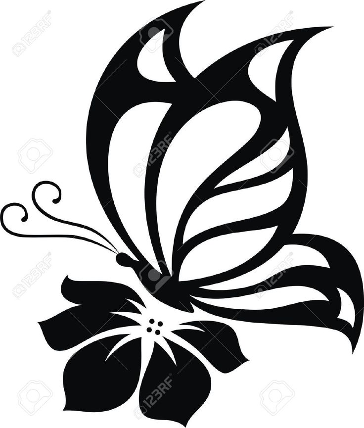 736x865 236 Best Silhouettes Butterfly Silhouettes Images