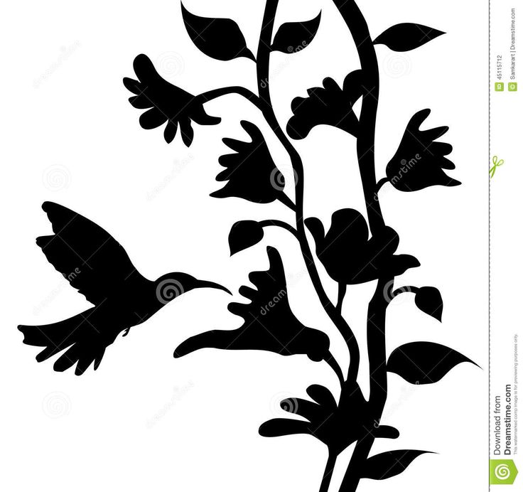 736x692 91 Best Flower Silhouette Images Art Pictures