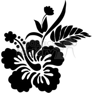 300x300 Royalty Free Black And White Hawaiian Hibiscus Flower 380150