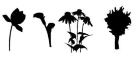 272x125 Flower Silhouette Vector Free Download Clip Art Free Clip Art
