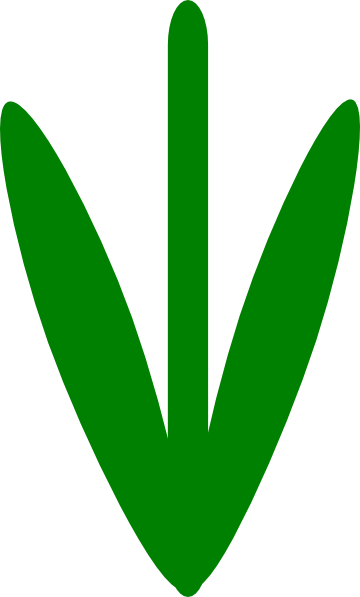 360x597 Stem Clip Art