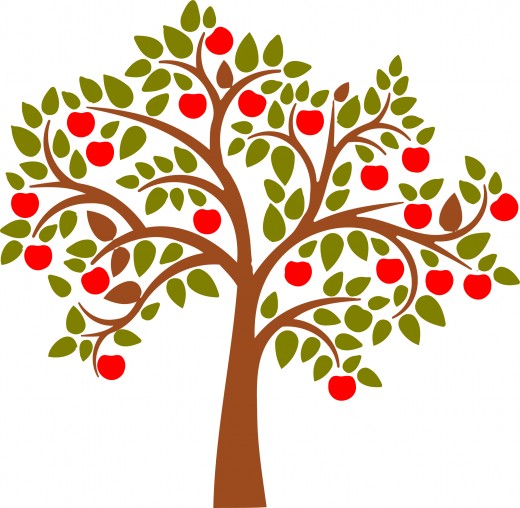 520x508 Top 89 Apple Tree Clip Art