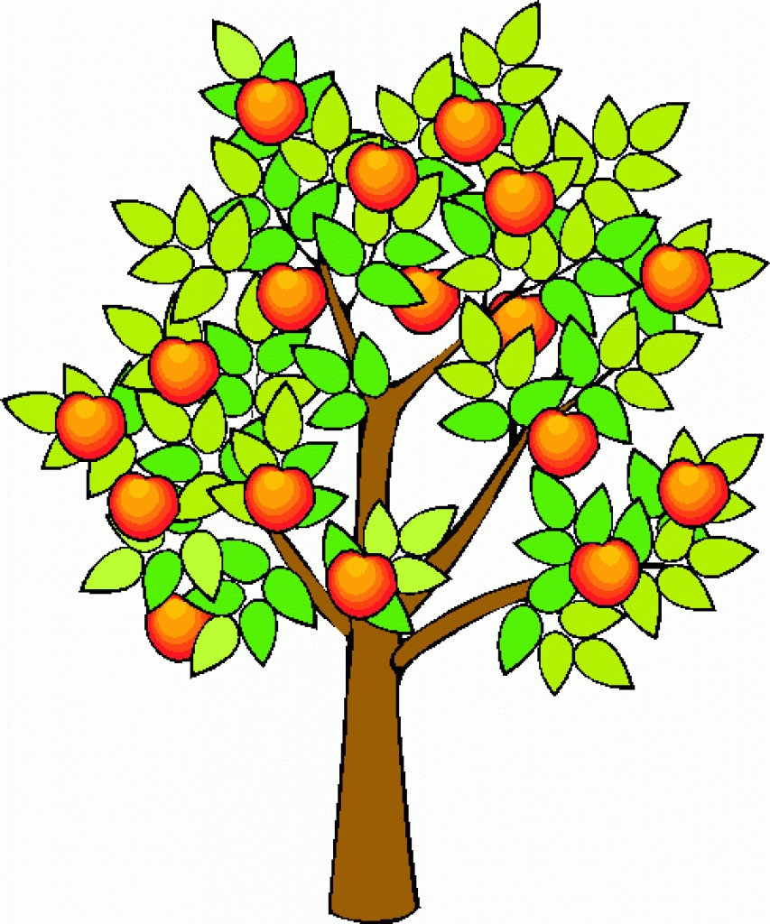 853x1024 Tree Fruit Clipart