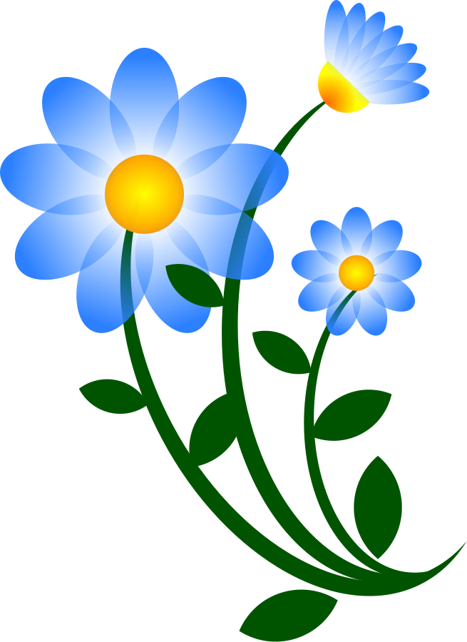 655x900 Flower Vector