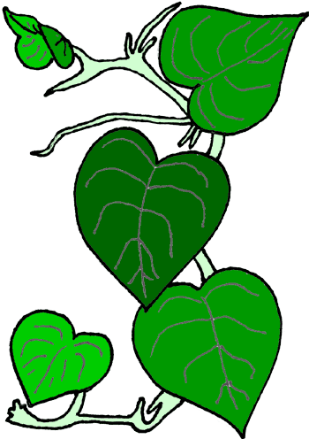 350x496 Flower Vine Clip Art Image