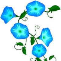 200x200 Vines Clipart