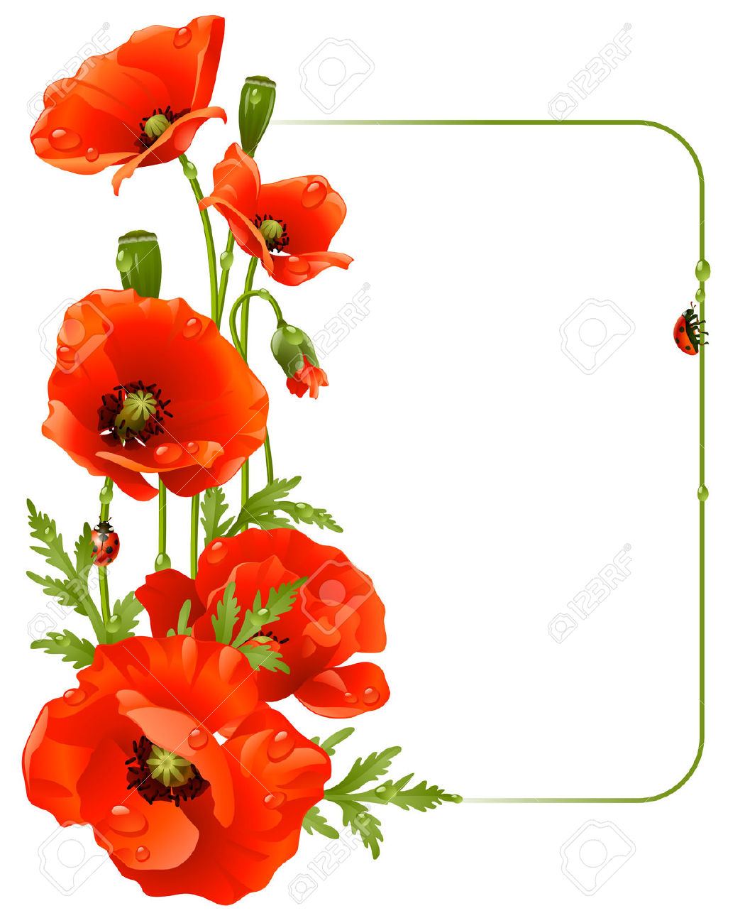 1050x1300 Red Flower Clipart Border