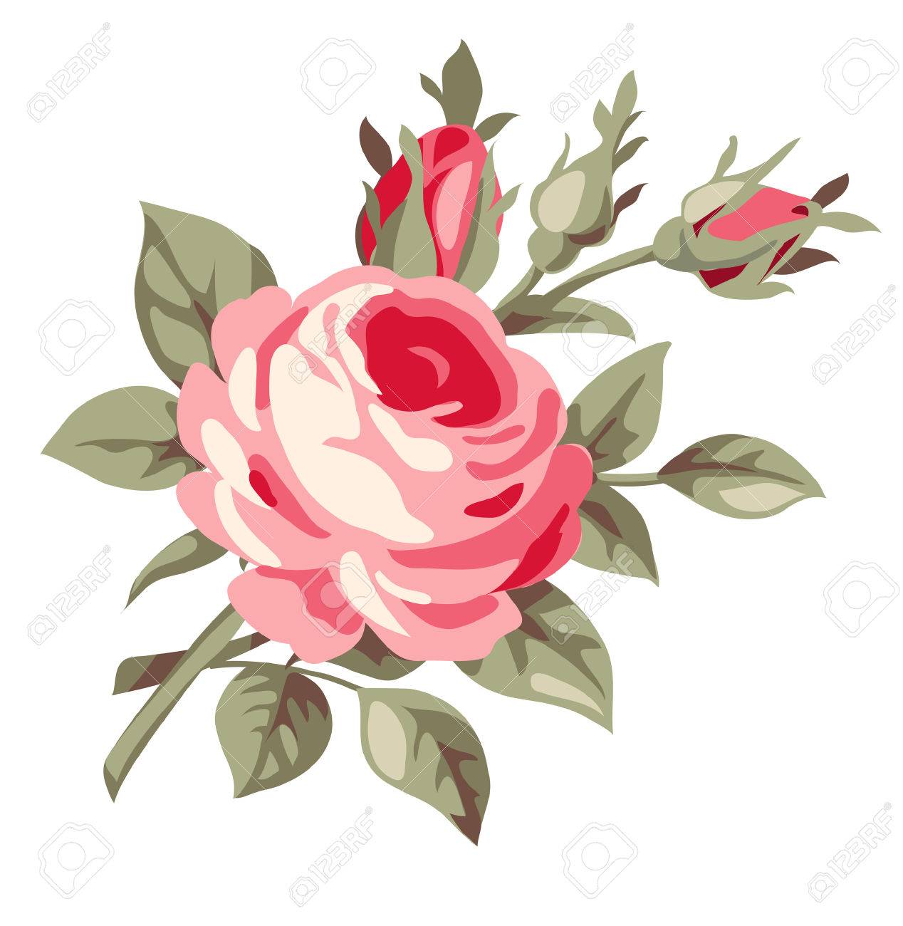 1268x1300 Vintage Decorative Rose. Vector Flowers Royalty Free Cliparts